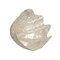 Small Polished Clam Shell Decorative Tabletop Bowl for Beach House Decor